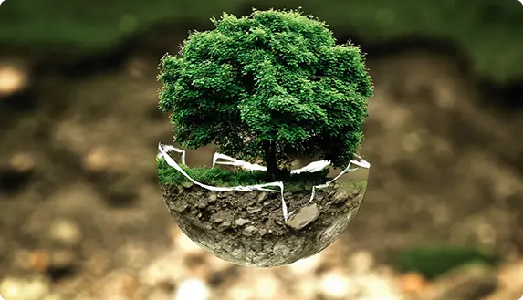 Environmental Law Lawyer - Wilmington, DE